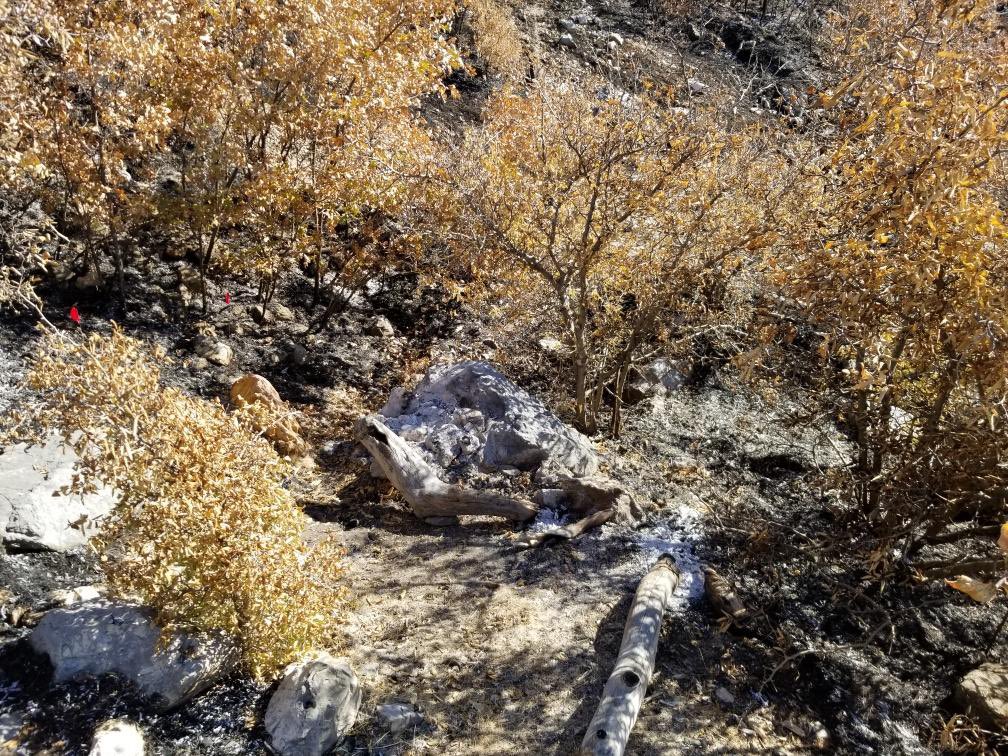 UtahWildfire's tweet photo. The fire investigator determined that the #NannyGoatfire was started by an escaped campfire.
The only way to completely put out your campfire is to drown (with water), stir (with a shovel), feel (with the back of your hand) and repeat until it is cold to the touch. #uwcnf #fsjh https://t.co/QGtmDOYvgZ