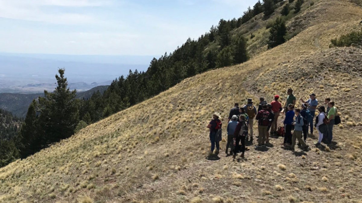 PollinateNet's tweet photo. How did three geosciences programs pivot to a #virtualmentorship model during the pandemic? 

Find out: https://t.co/xxScJ4O0Io

#VirtualMentoring #RemoteMentoring #OnlineMentorship #MentoringWorks #MentorshipMatters @richardsima @AGU_Eos https://t.co/IRH2MuDI8u