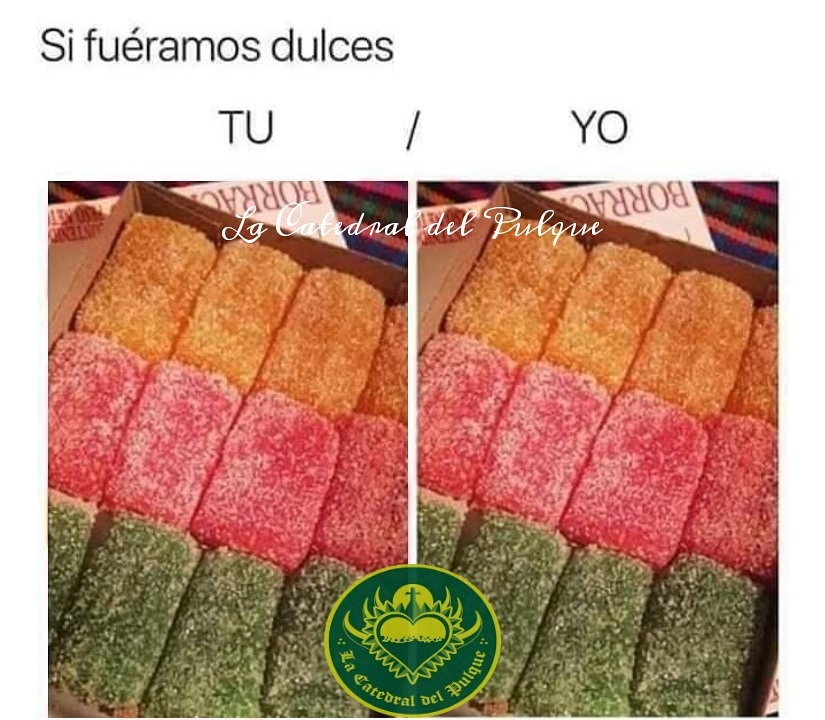 salon_casino's tweet photo. Quédate con quien vaya contigo a los PULQUES 💓😍🥰
Los curados de hoy MARTES son: Avena, Piñón, Coco, Zarzamora, Mandarina, Natural fuerte y dulce 🙌🏻🤯😱🤤✨🥴
#amor #pulqueros #talparacual
#FelizMartesATodos https://t.co/kVU75z1BNt