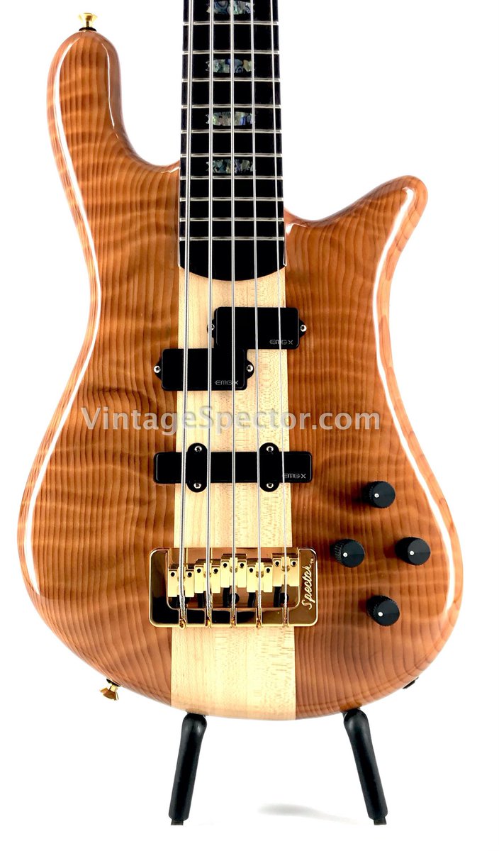 PJRubal's tweet photo. last week I added five basses from my collection to my website. enjoy!

https://t.co/9NmPkJPRbc
#vintagespector
#pjrubal 
#diywebsite
#spectorbass
#spectorartistsrock
#ns5xl 
#bassguitar
#basshistory
#handcrafted 
#woodstock https://t.co/9roqXCTyb4