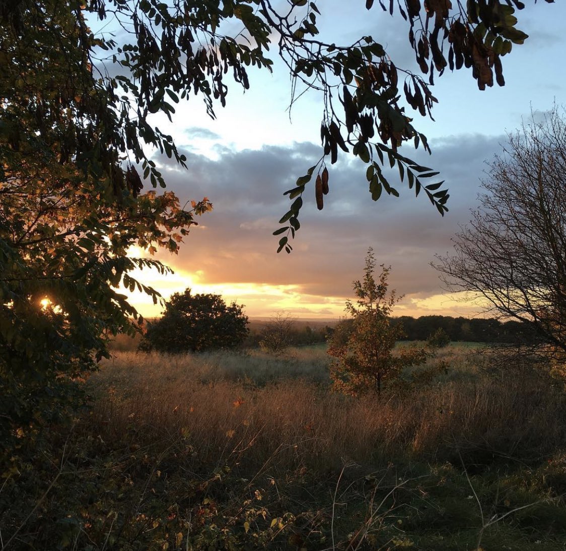Tern_the_page's tweet photo. @dartmoorcollect @M_Z_Harrison I wasn’t sure if we were limited to just one entry, so just in case not I’m also fond of these photos! #stubbornlightcomp https://t.co/ALqdANJ5vM