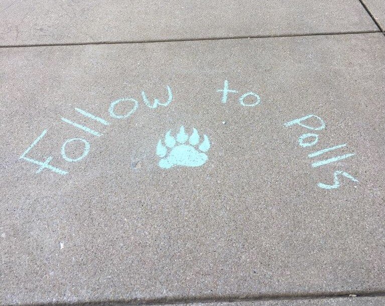 Follow the paws to the polls #pawstothepolls #missouristateuniversity #GenZVotes #vote #Biden2020 #Trump2020 #collegevote #vote2020