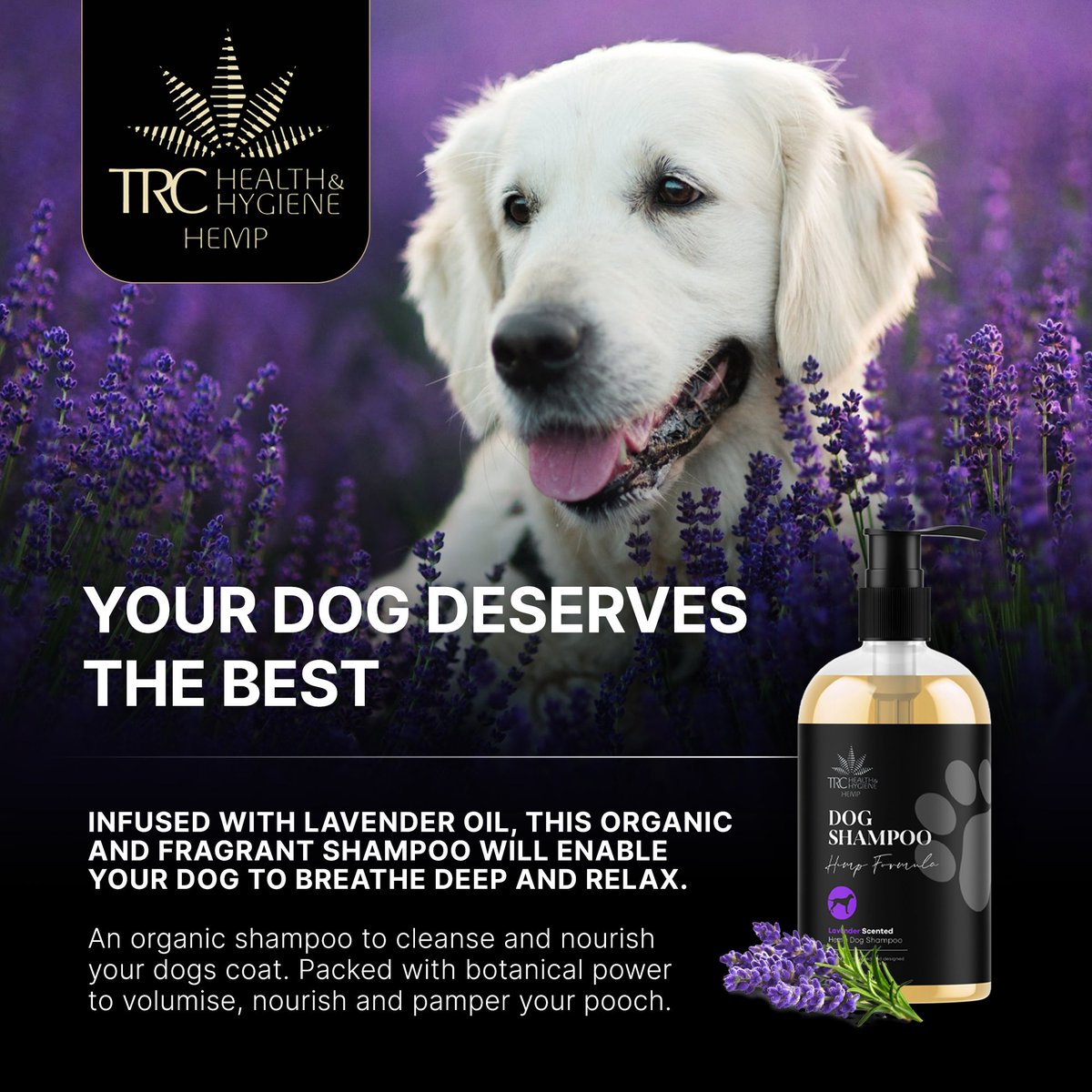 HempTrc's tweet photo. View the full collection at: https://t.co/fAsNx7eDqy

#organic #vegan #dogshampoo #madeintheuk #crueltyfree https://t.co/rRSUJCXJz7