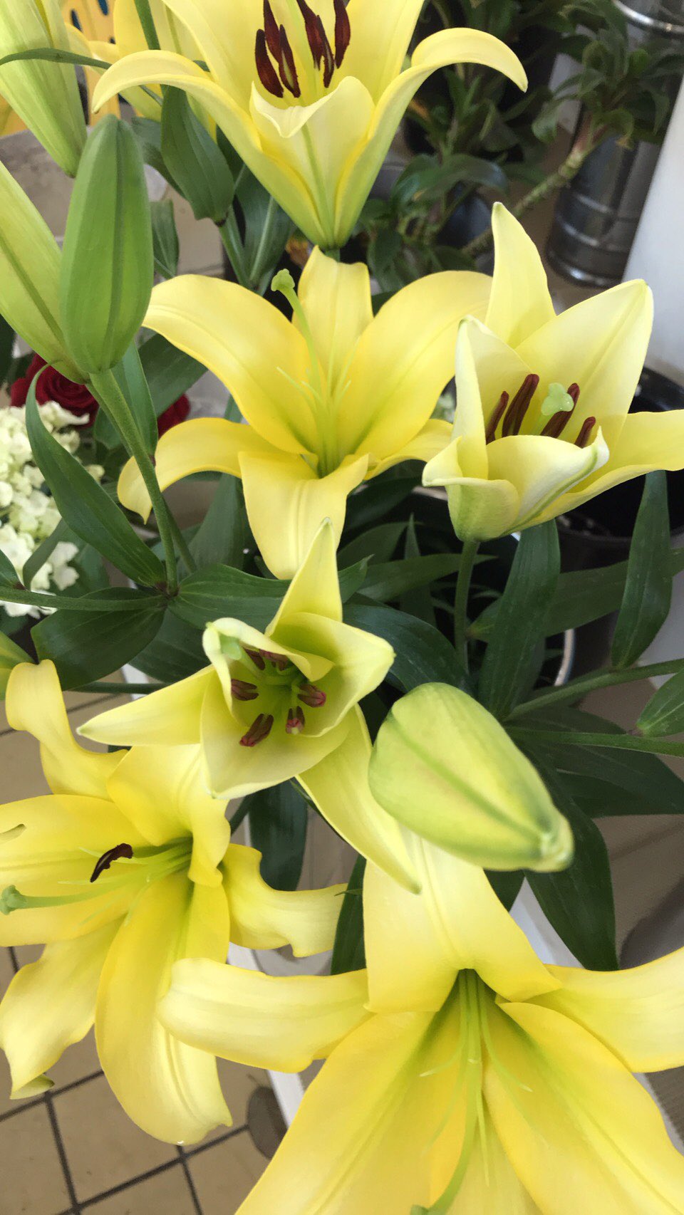 長光花園 Your Flowershop Twitter