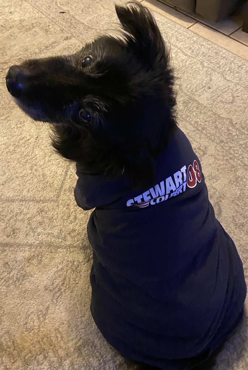 AliBagbey's tweet photo. @colbertlateshow Everyone has their Election Day gear on! #LateShowPreShow #ElectionDay #ColbertNation https://t.co/RJf8BysuC0