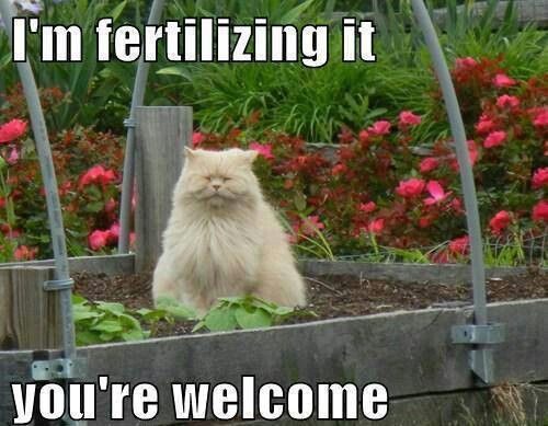 PremierNetting's tweet photo. Happy Wednesday 

#PremierNetting #Netting #Gardening
#allotment #allotmentsuk #allotmentlife🌱
#allotementlove #gardeninglife🌱 https://t.co/fzUlH3vavS