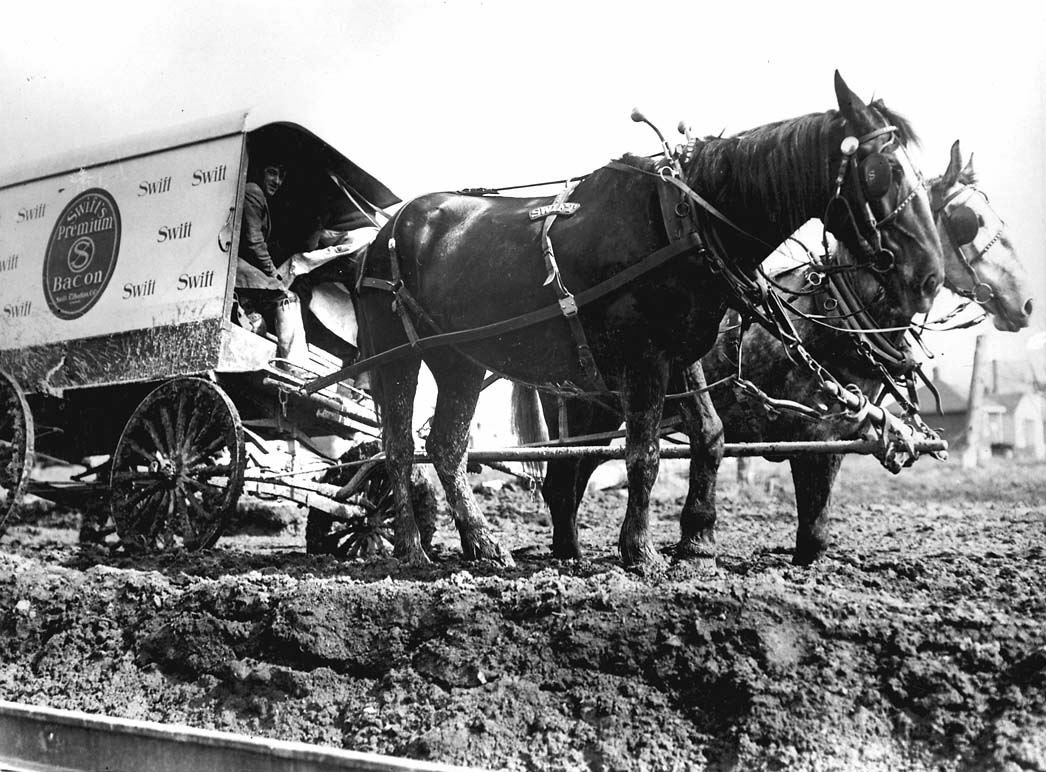 4. Getting the vote out was a physically demanding job. And the stakes were high: getting stuck in the mud or losing a wheel might mean getting stranded. A wagonful of voters could be unable to reach the polling station, and the election could easily slip away.