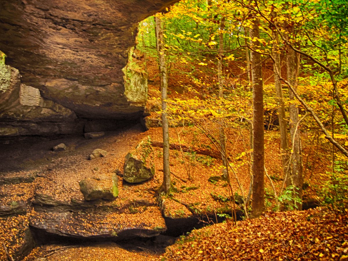 Rockbridge Nature Preserve, Hocking Hills, Ohio. It's considered the largest natural bridge in the state. #NaturePhotography #nature #Autumn2020 #autumnvibes #ThePhotoHour @LensAreLive <a href="/FotoRshot/">#FotoRshot</a> <a href="/naturalohio/">Natural Ohio</a> <a href="/OhioBeautiful/">Keep Ohio Beautiful</a> #Canon #canonphotography