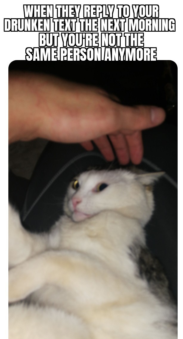 FabRolce's tweet photo. So my crazy cat made a meme worthy pic tonight 🐈😂 https://t.co/pnXagnVgDU