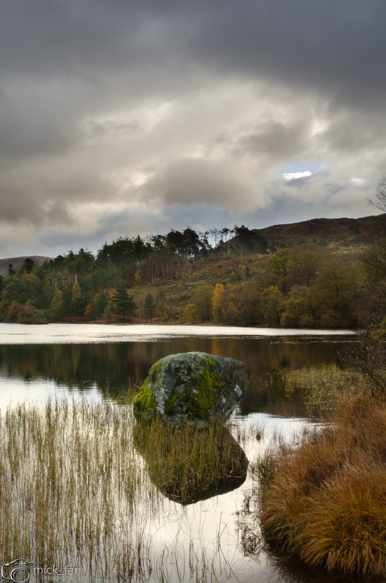 Fennphotography's tweet photo. Another shot from Loch Trool, Scotland #photography #2020ND #ThePhotoHour https://t.co/4m4ZFLDX17