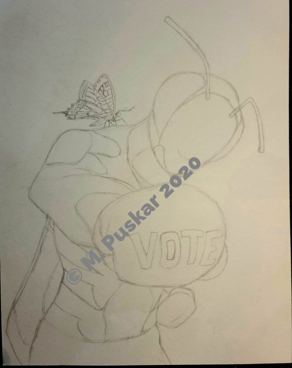 PuskArtist's tweet photo. "Vote Like a Butterfly, Sting Like PPC"
Unfortunately, I didn't have time to finish this before election day, so this is just the rough draft.
ยฉ M. Puskar 2020
#PoorPeoplesCampaign #RiseUpandVote #Unleashed #PPCArtistsRiseTogether #VoteLikeAButterflyStingLikePPC #GOTFV #GOTV https://t.co/7bbbdMPFYn