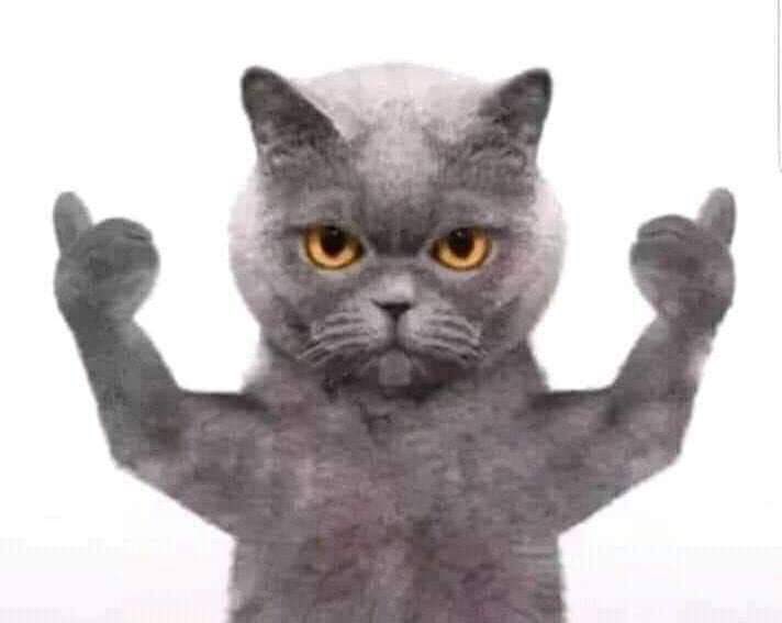 *  عندي مشكله ومكتئب  *

سريري وبطانيتي: