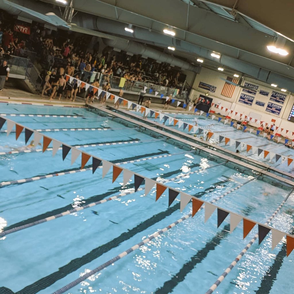 mmhs_athletics_'s tweet photo. Join the Wolfpack! We are in need of assistant swim coaches, full or part time. Contact Denise Harvey, harveyd@mercymcauley.org if interested. #wolvesin https://t.co/bN3CJz06qo