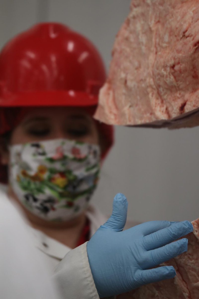 Last week, the Department of Animal Science hosted the Young Cattlemen's Leadership Class that featured numerous presentations and information sessions.  Check out some event photos below!

📸 by: Michelle Bufkin, Arkansas Cattlemen’s Association