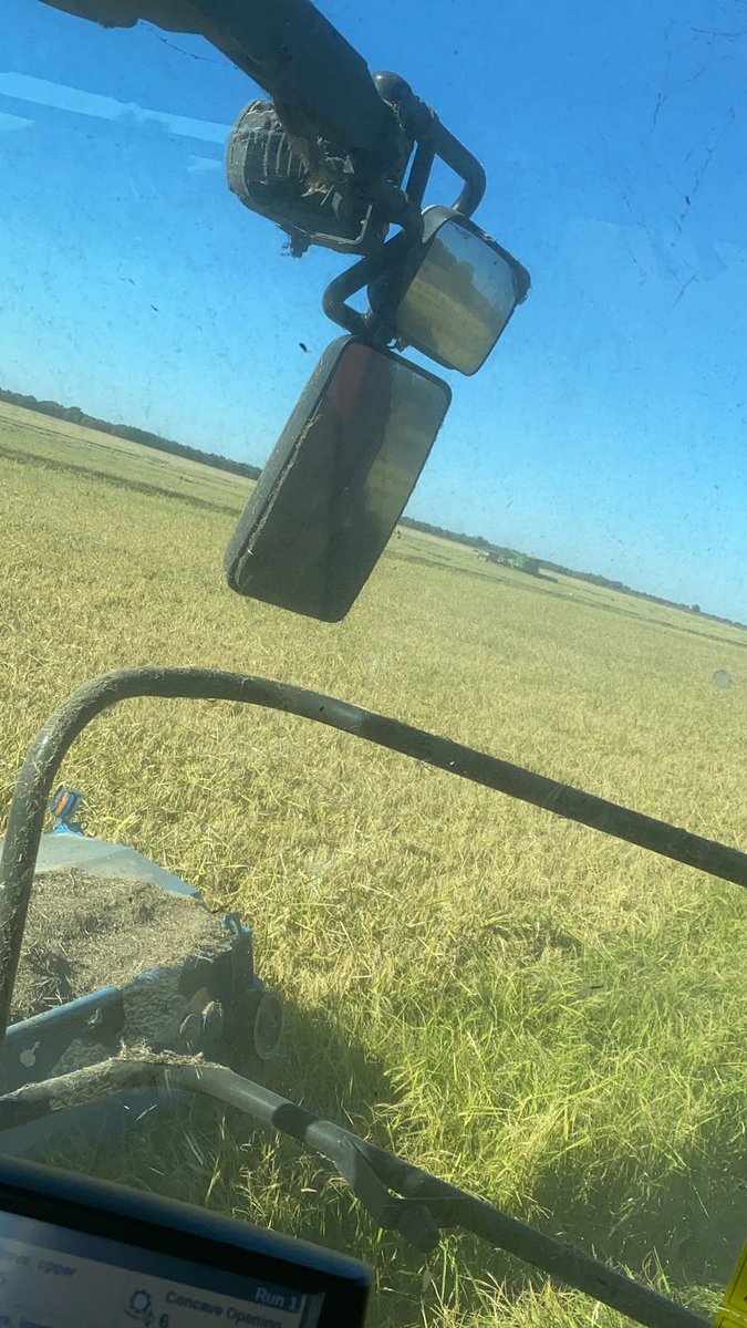 dylansecrease91's tweet image. June 10th planted XL745. Finally knocking on the tail end of harvest. One more day of rice harvest then back to beans for the last couple hundred acres