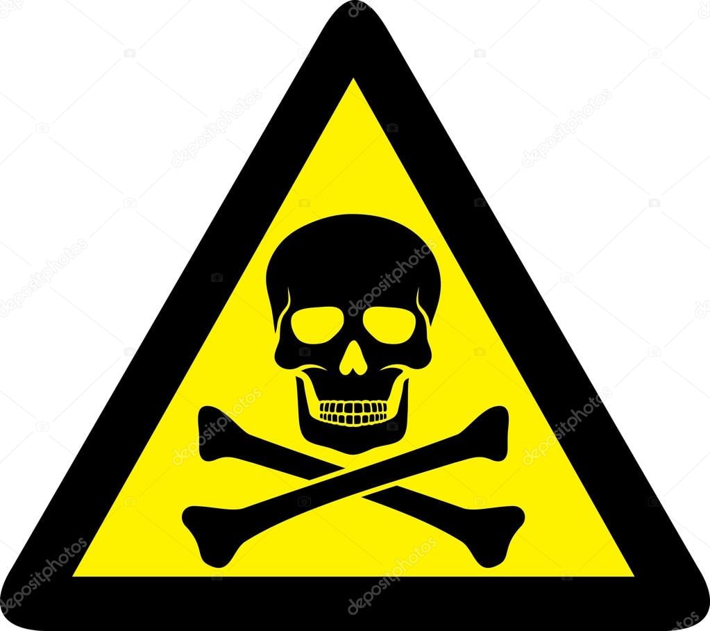 RayYecith's tweet image. 