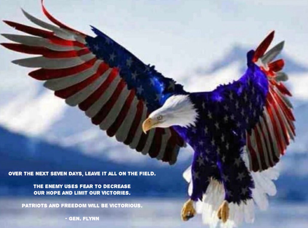 SidneyPowell1's tweet image. Dear @realDonaldTrump 🇺🇸
On behalf of millions of American #Patriots, thank you for pouring your heart, soul &amp;amp; boundless energy into fighting relentlessly for freedom &amp;amp; #WeThePeople 🇺🇸
We are so proud of you🇺🇸
God Bless you &amp;amp; the United States of America
@RudyGiuliani 
@GenFlynn