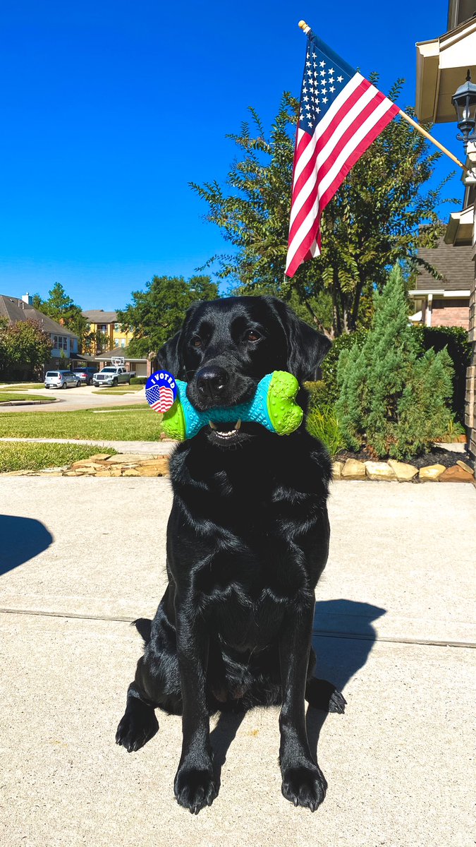 SkiBall_ryan's tweet photo. #VOTE https://t.co/5yvAH4jPBh