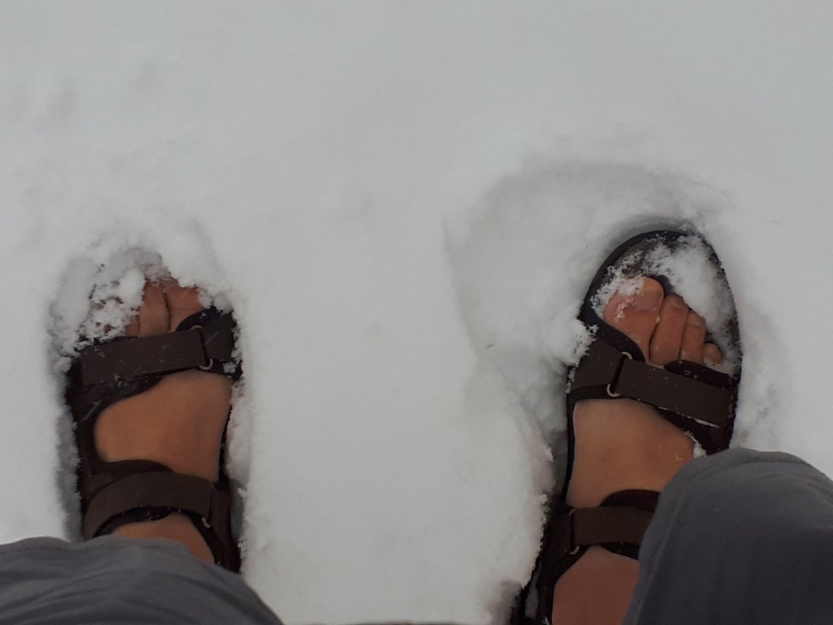 iansmith2222's tweet photo. New sandals arrived today and it snows! https://t.co/kbuyAuQwJu