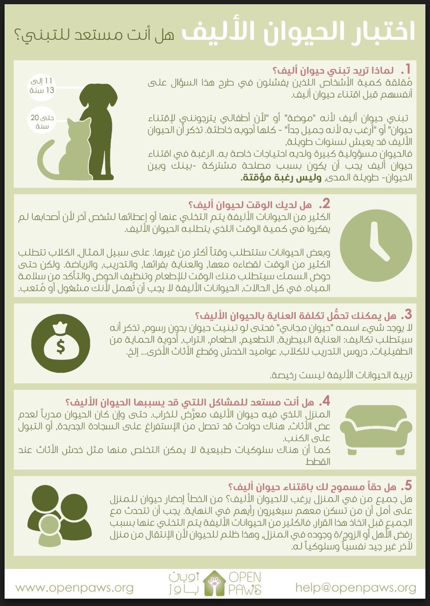 Open Paws tweet media