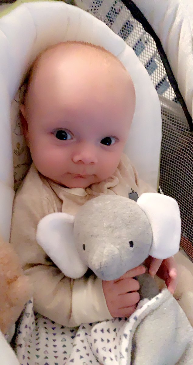 CarleeD13's tweet photo. Because he’s too cute not to post everywhere 💙 #OwenTrace #boymama https://t.co/faTXUl0srh