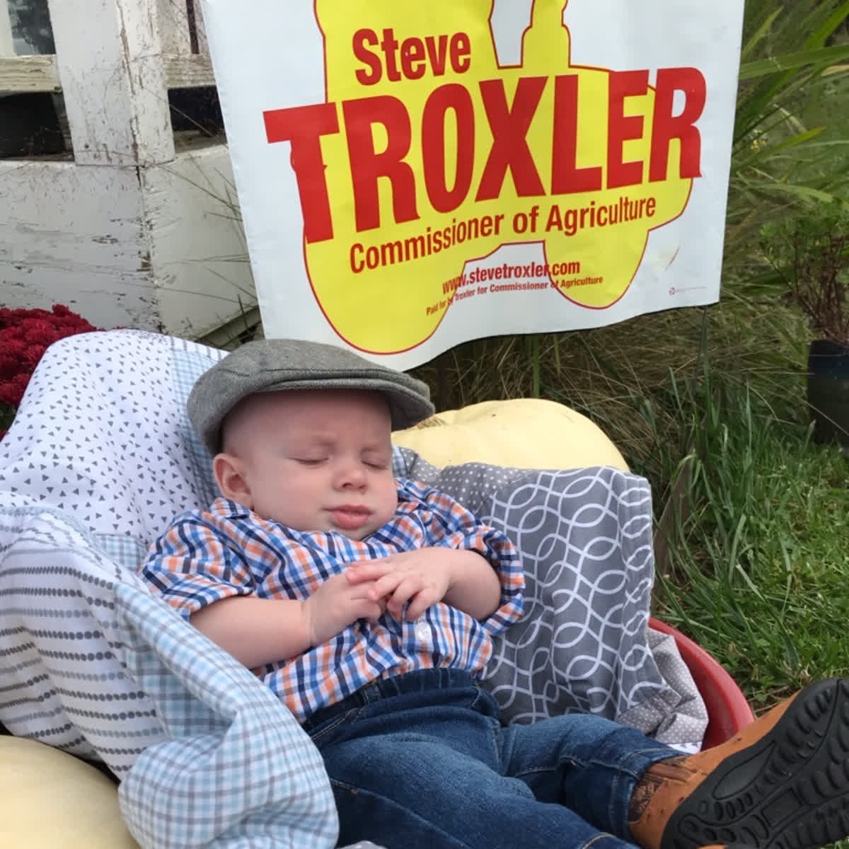 Wait! It’s not time for a nap just yet! Get out and vote for Steve Troxler today! #NCAgriculture