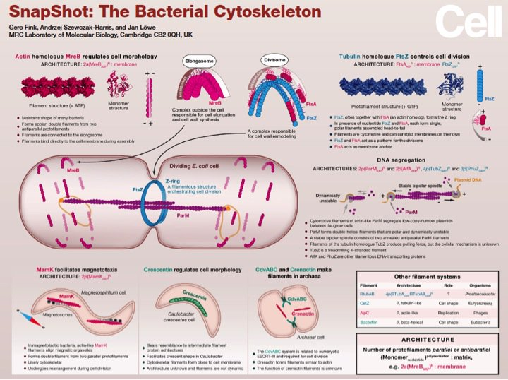 Biobope1's tweet photo. this has been really helpful lately for some subjects in the master so I figured I might as well share it https://t.co/urWdSDwCSd