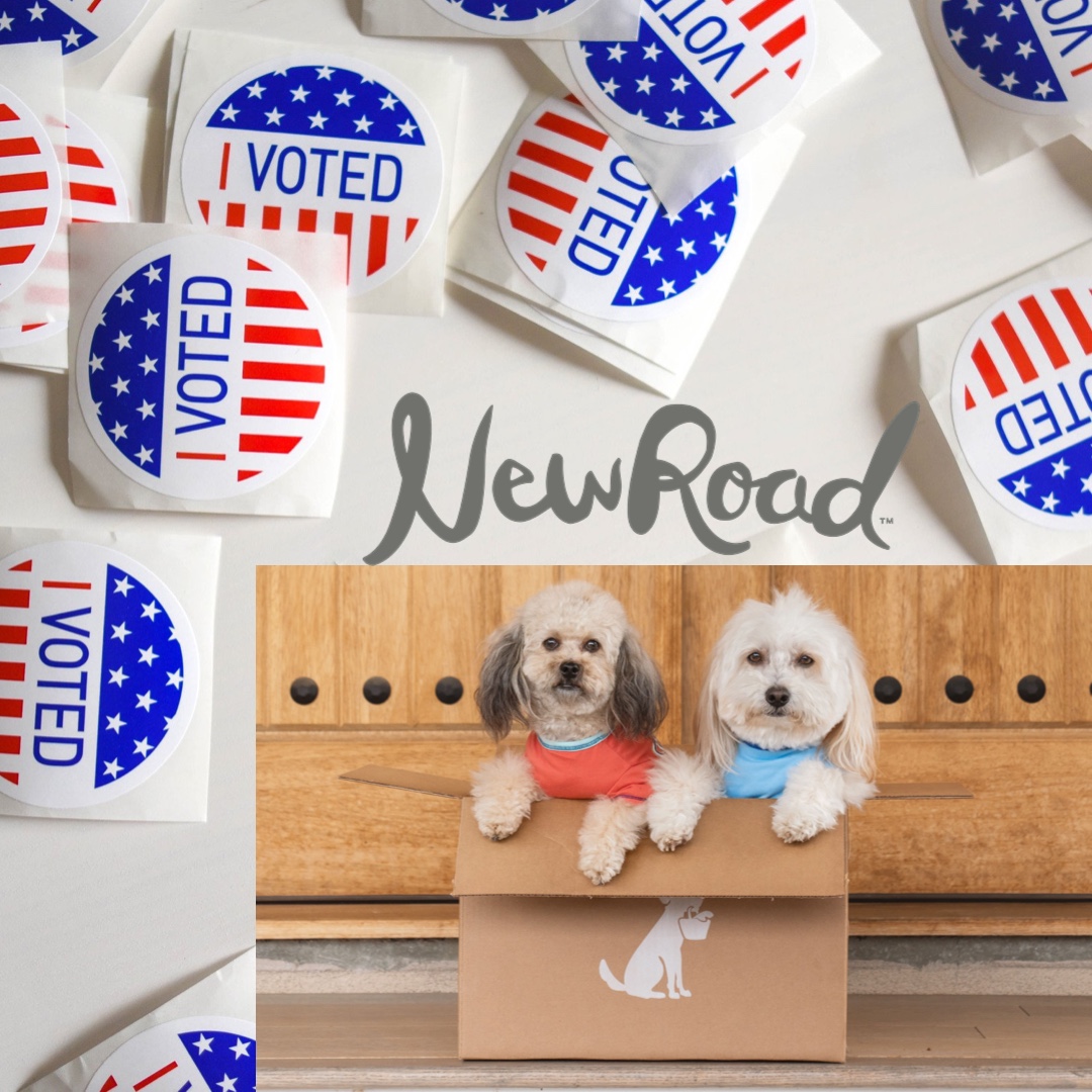 It's Election Day!! Don't Forget to go Vote🇺🇸