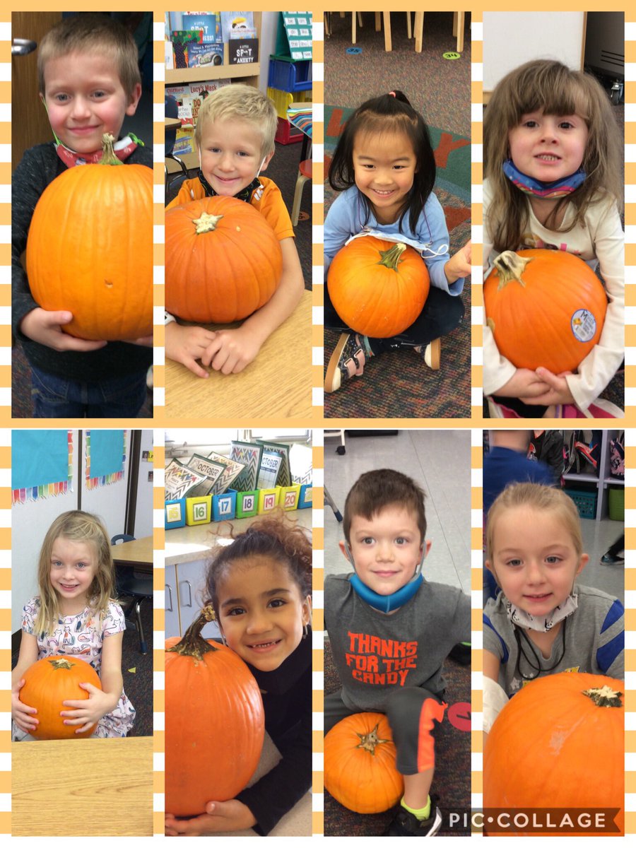 Mrs. Conley tweet media