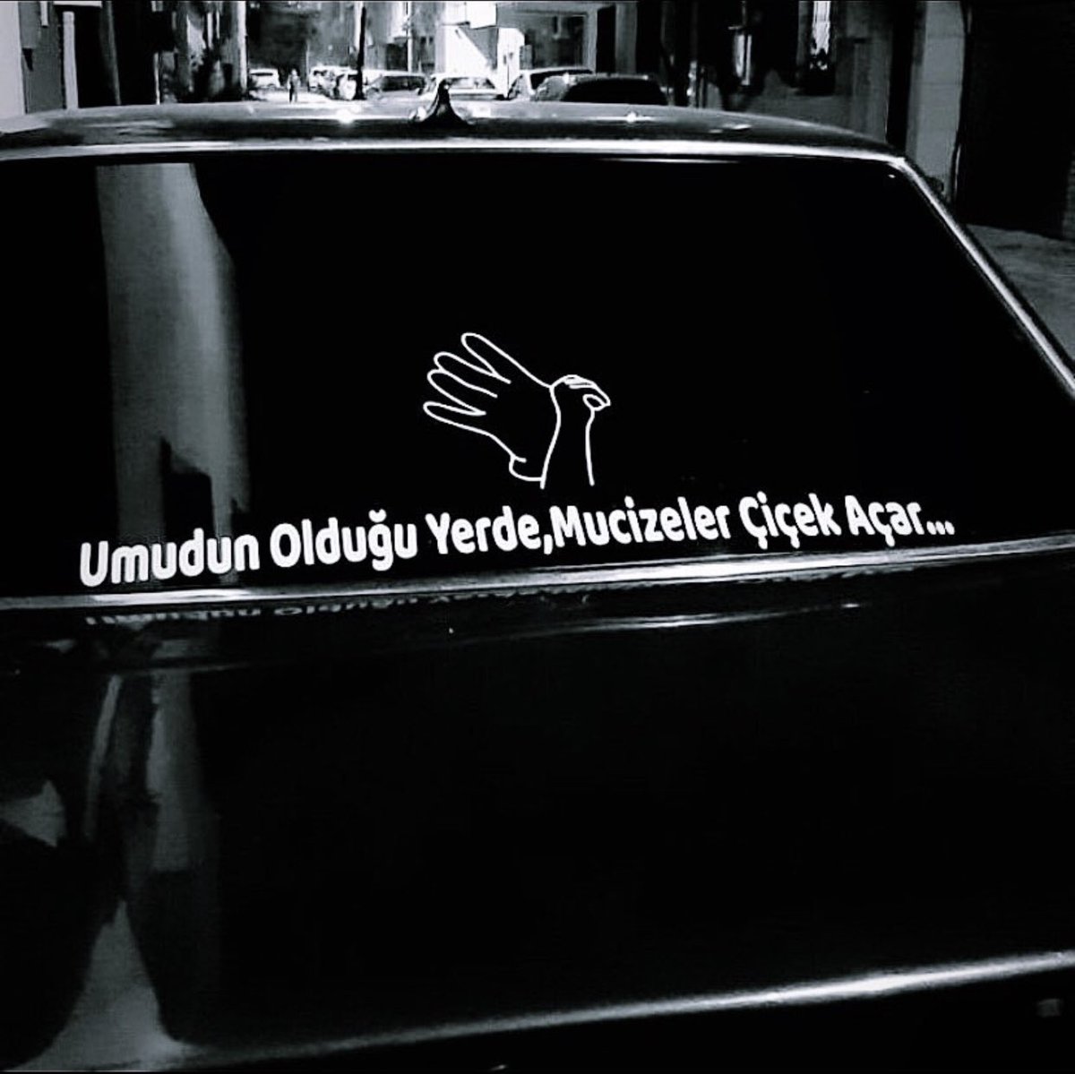 ibo (@ibrahm11111) on Twitter photo 