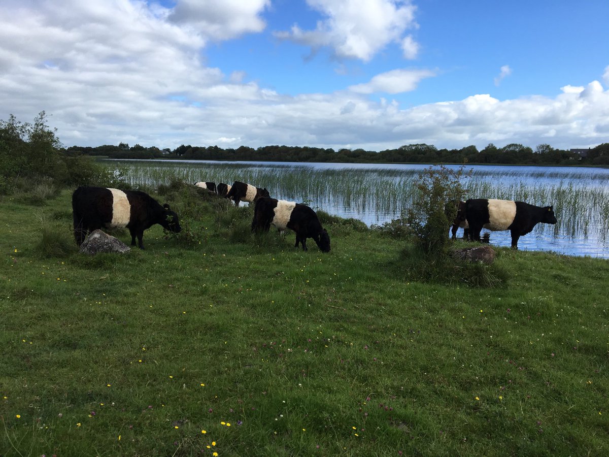 pomskua's tweet photo. We are experiencing an ecological decline in nature or biodiversity in our landscape. In 2019 I was delighted to be nominated &amp; receive a 'Farming for Nature Ambassador' award. The following video from the award outlines some of the practices here at home https://t.co/HzsAfHx9uW https://t.co/CyVabPxkSc