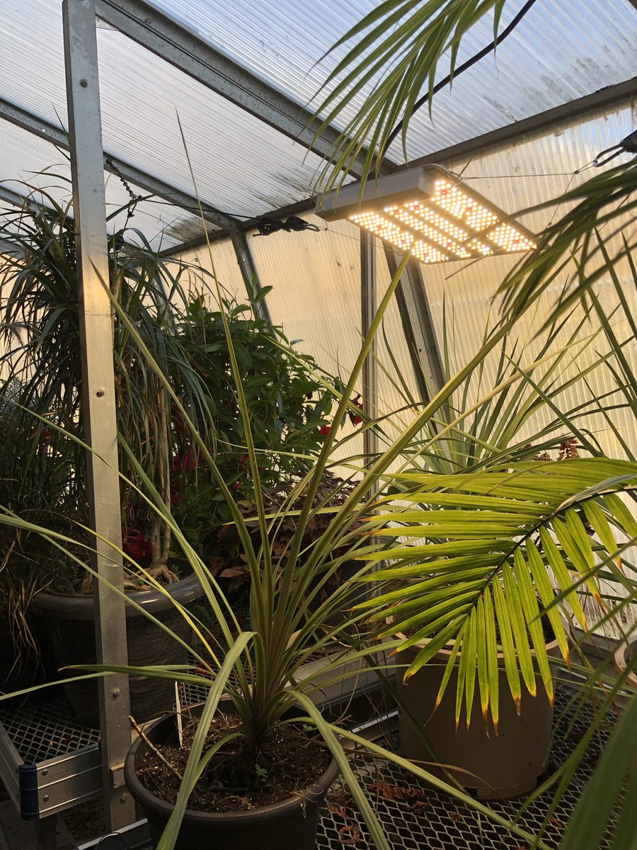 EdenHighDSBN's tweet photo. Eden’s science department (Mr Idzenga) and Mr White’s eco club are getting the greenhouse spiffy again! #growplants #makeO2 #breathe https://t.co/RxbKkfwJ6P