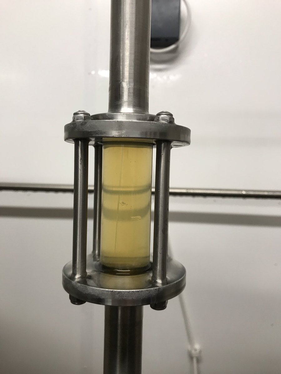 JonnyBright84's tweet photo. Today I brewed the beer side of the 3rd instalment of the @ATHBrewery @oliverscider pear juice saison collab. After a successful v2 with @cloudwaterbrew we decided to go it alone again, see you in 9-12 months! https://t.co/towaYLfd3k