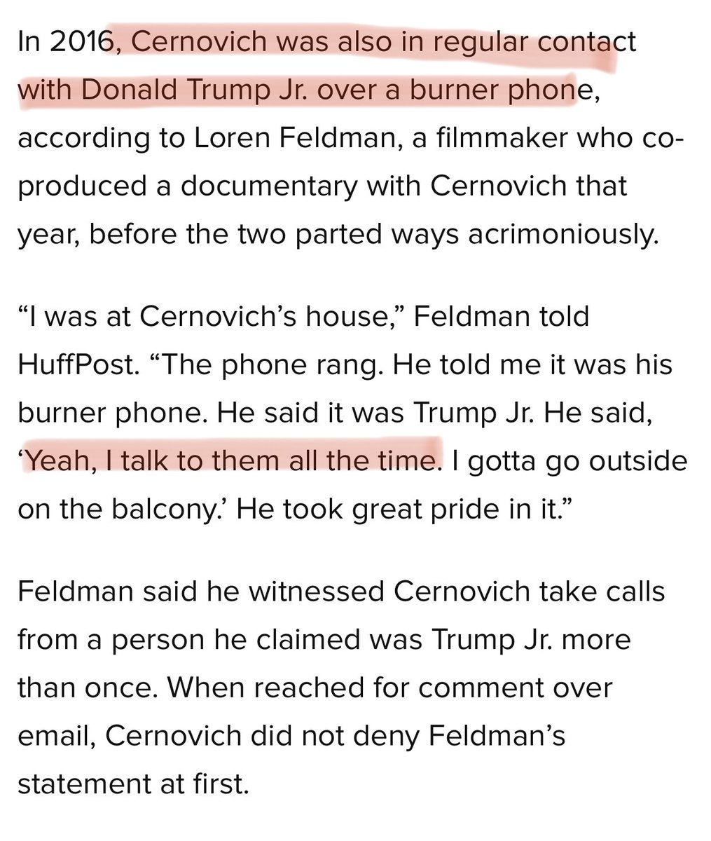 3/ Mike Cernovich - NOT a journalist. But he does love him some Jr.(also, so glad this piece of info is FINALLY out. Was biting my tongue on it for two years).