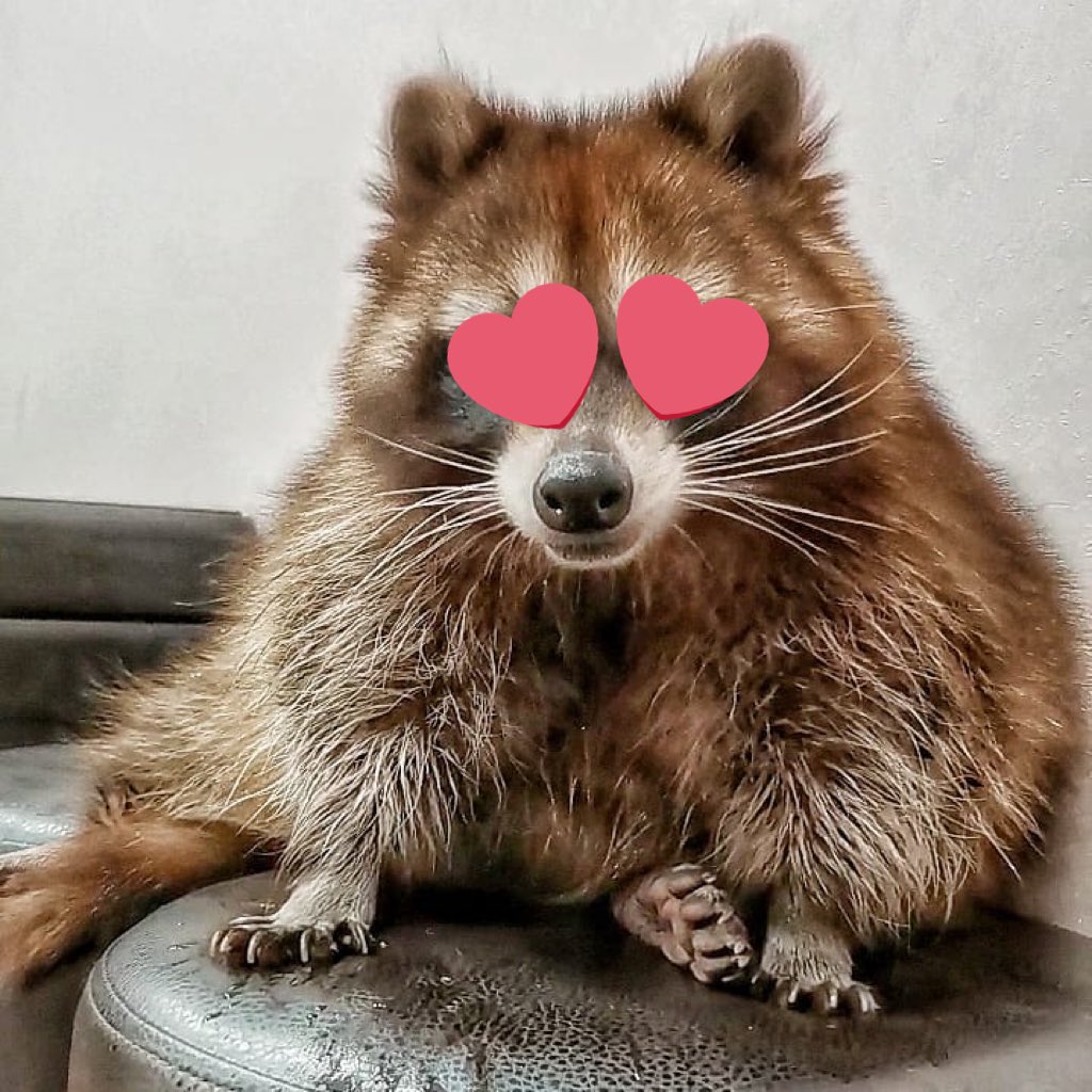 ADANOTWONG's tweet photo. @eiranaway steven loves you too. https://t.co/dtFooIcCOz