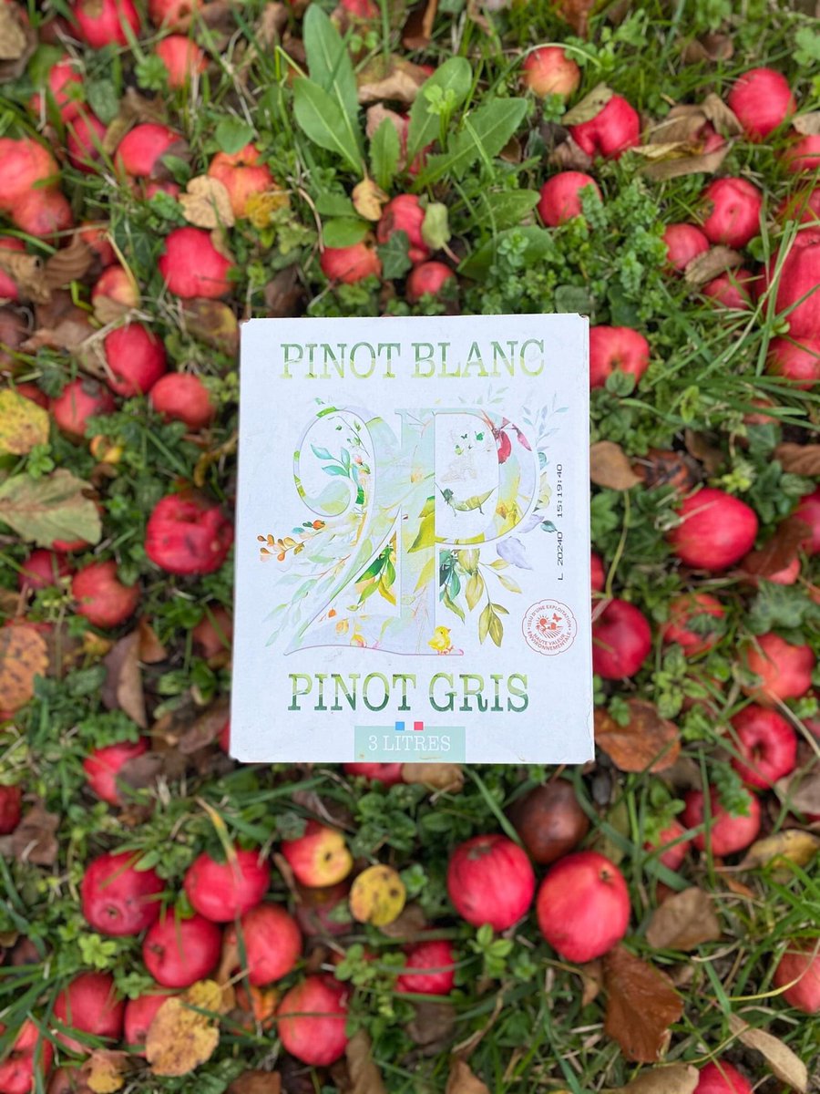 2pWine's tweet photo. Aux couleurs de l’Automne... 2P... Pinot gris... Pinot blanc...

L’abus d’alcool est dangereux pour la santé, consommez avec modération

#pinotblanc #pinotgris #bib #vindefrance #baginbox #2P #frites https://t.co/g7pdVaCvwq