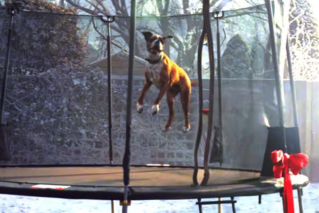 PrettyLittleThing tweet media