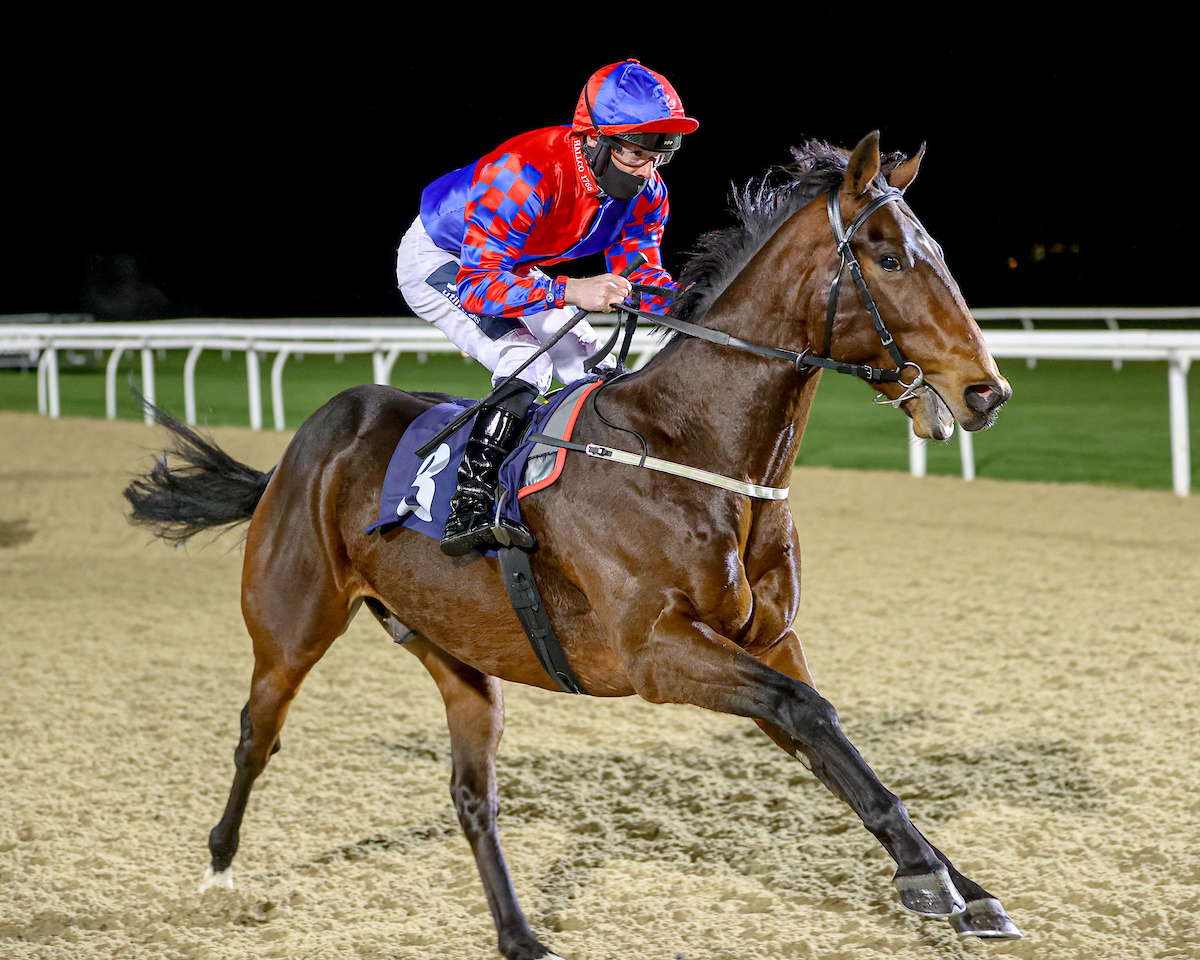 NewcastleRaces's tweet photo. RACE 5 RESULT - @Ladbrokes Watch Racing Online For Free Nursery Handicap

🥇 Bedford Flyer
🥈 Fighter Pilot
🥉 Country Charm

Jockey: @EDMUNDZZ98 

Trainer: @EyreLes 

Owners: RP Racing Ltd

📸 @grossickphoto https://t.co/45M0zjc0Q0