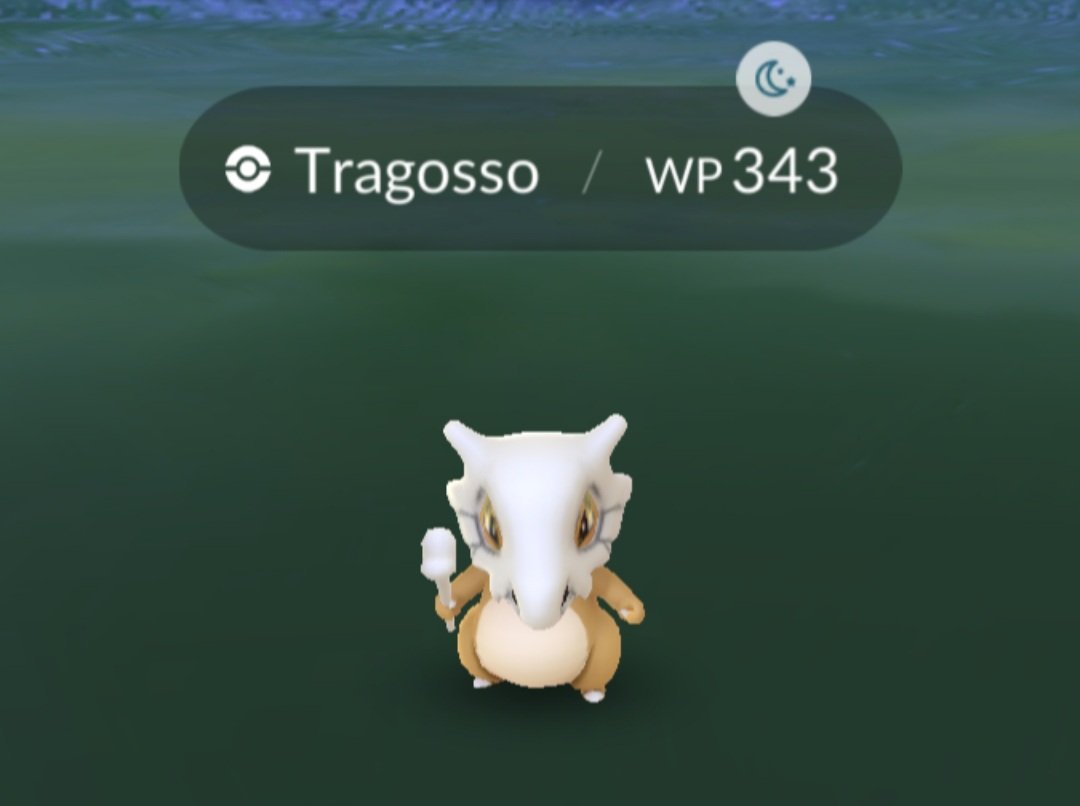GalaidaG's tweet photo. Die #Raidhour mit #Tragosso war zwar sehr spaßig, aber auch sehr kalt und ohne das erhoffte #Shiny. Dafür gab es 40.000 Sternenstaub UND mein zweites Shiny #Sleima. Da bin ich doch sehr happy drüber und irgendwann klappt es sicher auch noch mal mit Tragosso.
#PokemonGO https://t.co/vSQW9KQILe