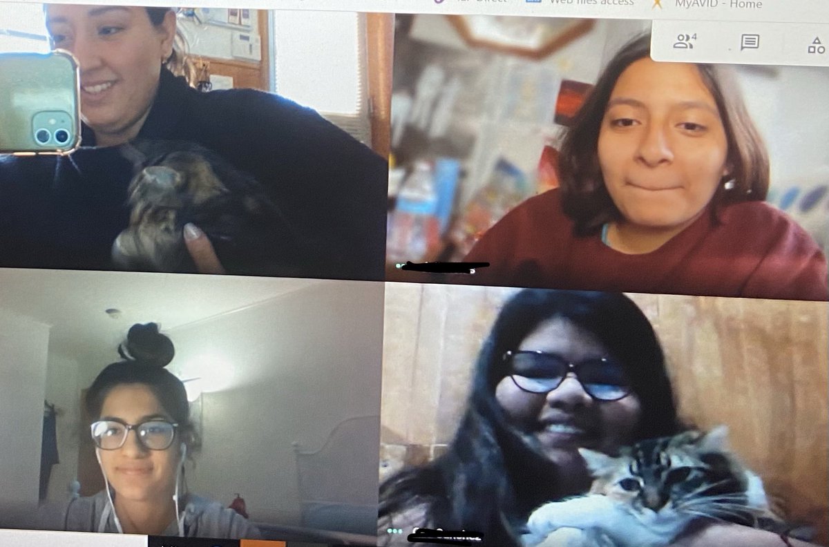 VGalindoDelgado's tweet photo. Perfect day for Virtual Pet Therapy! Simba and Fluffy ๐ ๐งก ๐ #ossiningpride #ossiningschools #onecommunity #schoolcounselor #opride #ossininghighschool @OssiningSchools @OssiningSup @OHSPrincipal3 https://t.co/aw1m66FgjZ