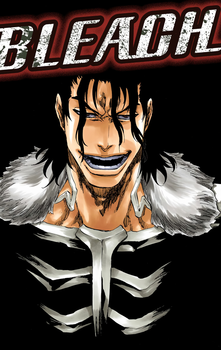 Tite Kubo Art Ginjō Kugo 銀城 空吾 Artworks From Volumes 53 54