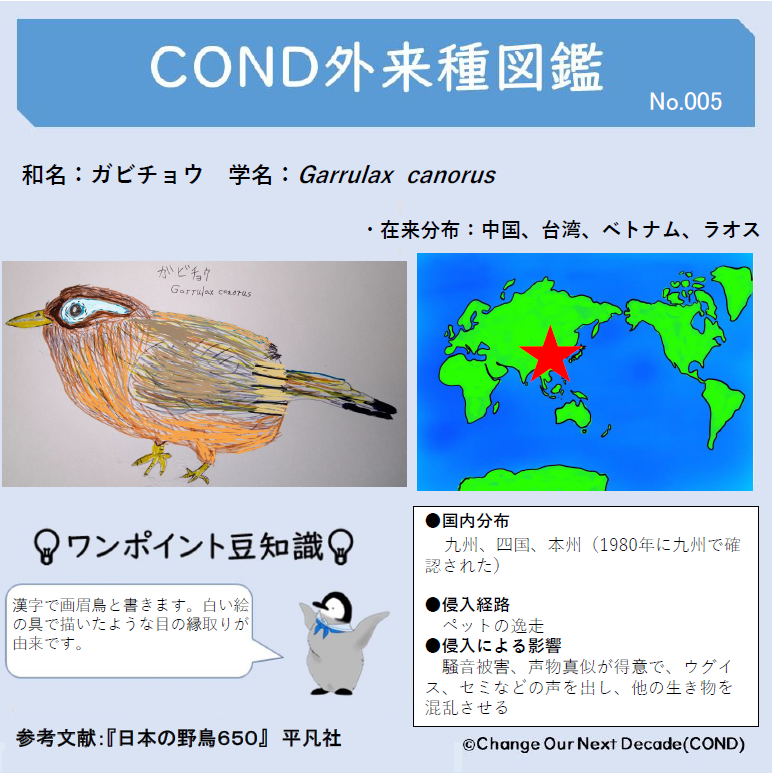 Change Our Next Decade Cond cond外来種図鑑第5回は ガビチョウです 江戸時代からペット として親しまれてきました ウグイス類が 資源をめぐって種間競争の影響を受けることが示唆されています ガビチョウの鳴き声と鳴き真似 T Co Change Our Next Decade Cond cond外来種図鑑第5回は ガビチョウです 江戸時代からペット として親しまれてきました ウグイス類が 資源をめぐって種間競争の影響を受けることが示唆されています ガビチョウの鳴き声と鳴き真似 T Co