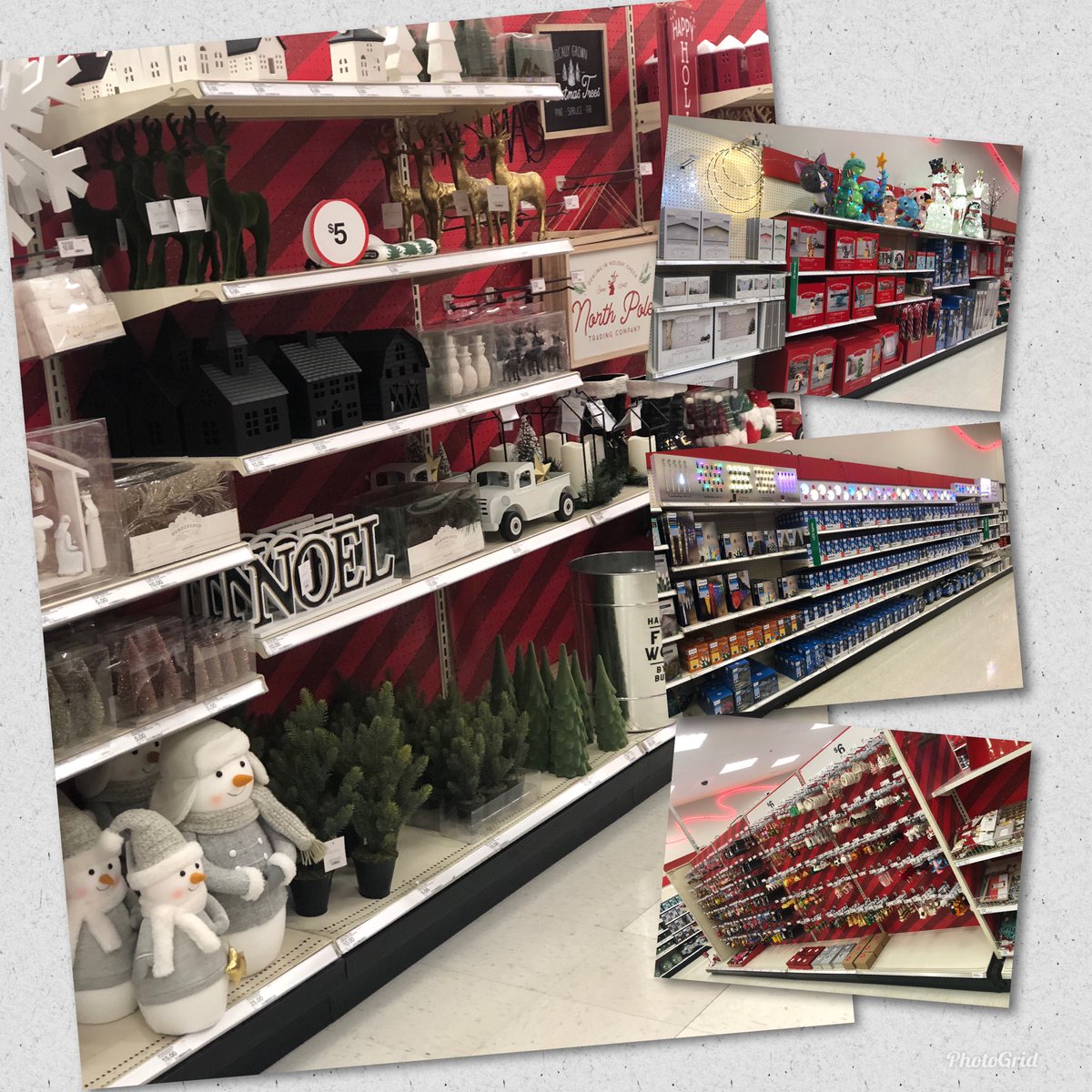 Echo Batey tweet media