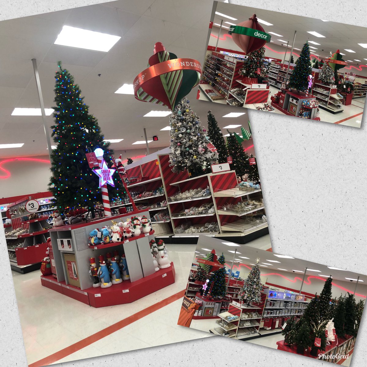 Echo Batey tweet media