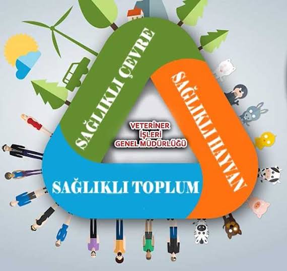 eba_vet's tweet photo. Dünyayı etkisi altına alan #Covid_19 ile birlikte   gerçekler tekrar gün yüzüne çıkmıştır . Halk sağlığı, hayvan sağlığı ve çevre sağlığı ayrılmaz bir bütündür . Hayvan sağlığını görmezden gelirsek , sağlıklı bir dünya inşa etmemiz mümkün değildir .
#TekSağlıkGünü
#VetEBA https://t.co/APHaIvKvAk
