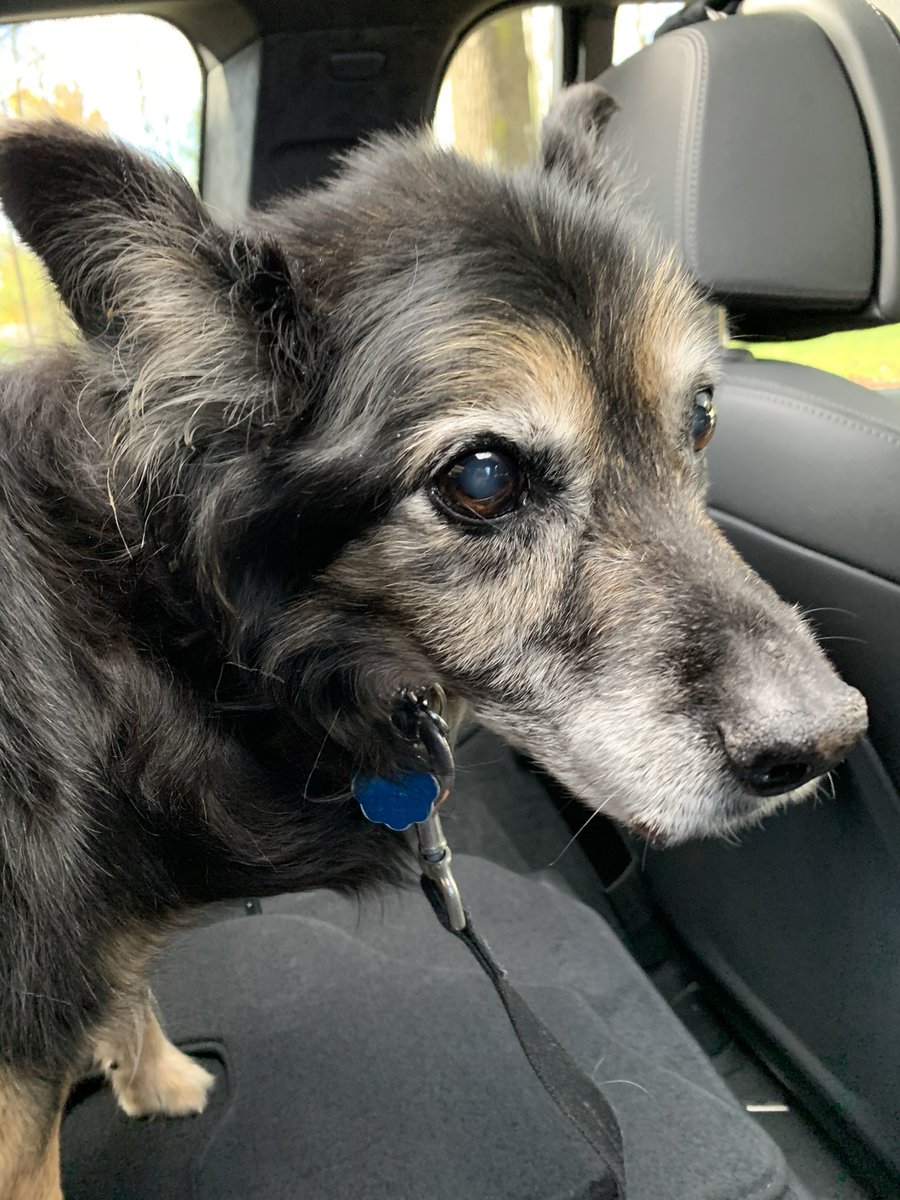 mere lou tweet media