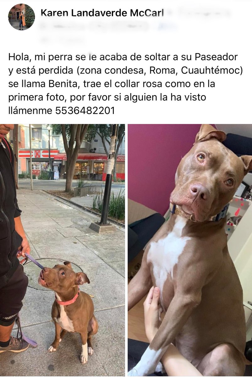 <a href="/LaRomaDF/">Colonia Roma 🚲</a> 🙏🏻🙏🏻🙏🏻