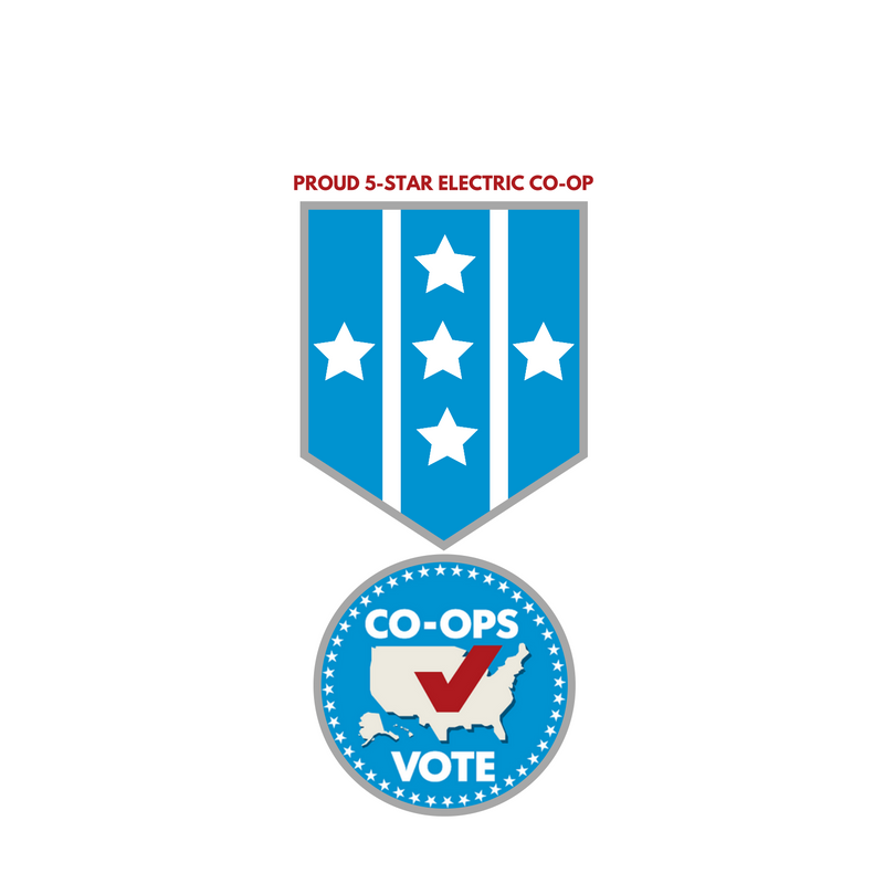 MtMECA's tweet photo. How fitting that yesterday, a day before Election Day, MECA was recognized as a 5-Star supporter of Co-ops Vote. We proudly support this nonpartisan initiative to encourage co-op members to vote, and to help them be informed voters. https://t.co/5ihNutUi0I