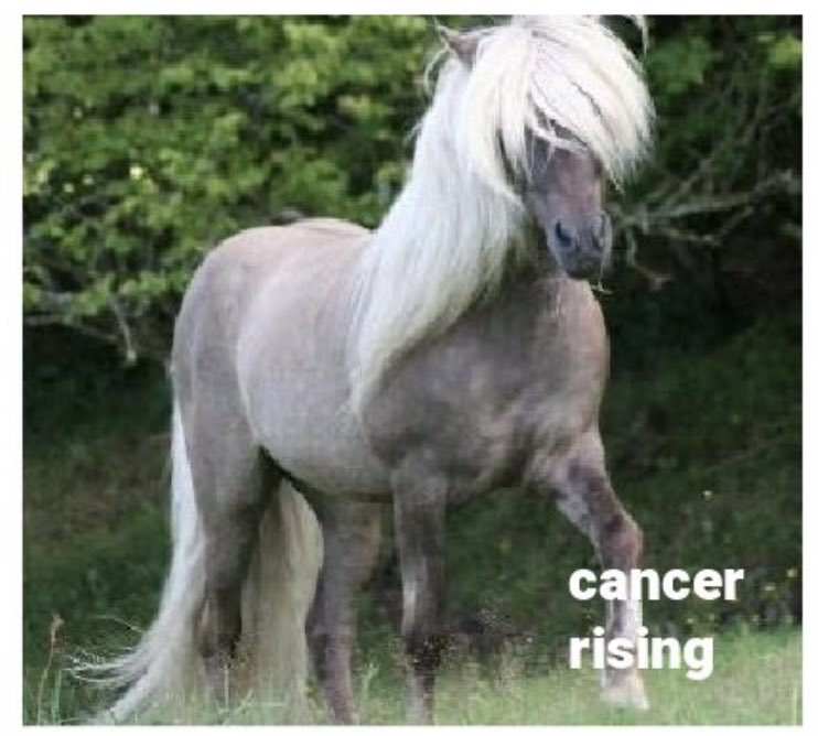 Sarah Spigelmyer (@sarah_spigs) on Twitter photo 