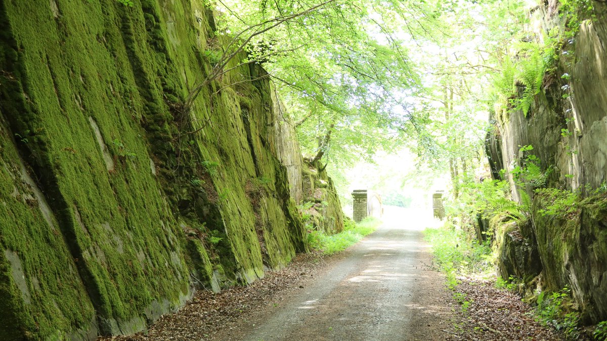 Markus Stitz (@reizkultur) on Twitter photo It's not quite a vote, but there is still time to give us your opinion on the <a href="/perthshiregravl/">perthshiregravel</a> Trails, so we take the findings and work on new projects in the future. It takes 10 minutes or less, just click here: forms.gle/ZN7JkSPvDekEh2… Please RT & share, many thanks! It's not quite a vote, but there is still time to give us your opinion on the <a href="/perthshiregravl/">perthshiregravel</a> Trails, so we take the findings and work on new projects in the future. It takes 10 minutes or less, just click here: forms.gle/ZN7JkSPvDekEh2… Please RT & share, many thanks!